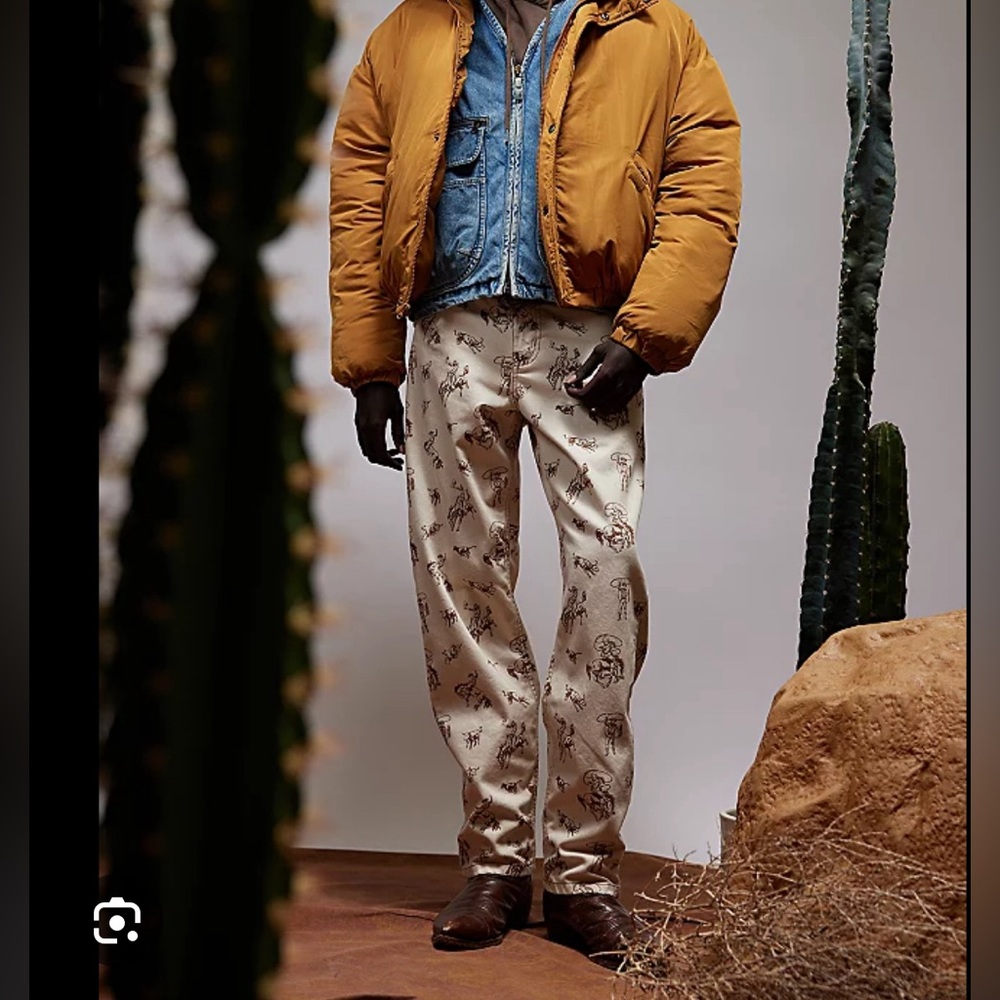 BDG Mens Cowboy Print Jean